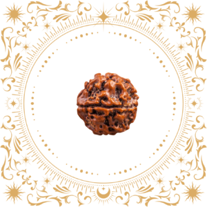 Rudraksha